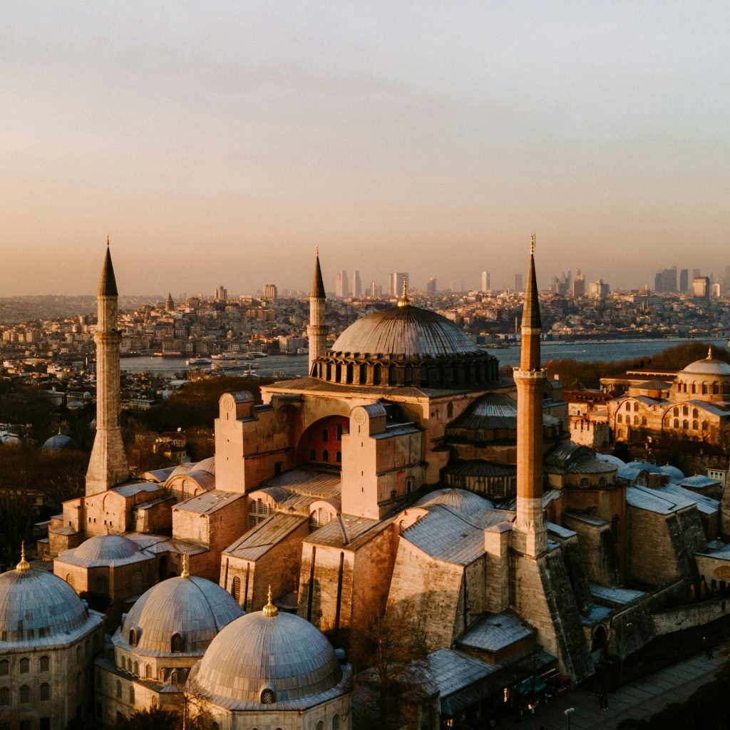 pexels-roman-odintsov-7539845