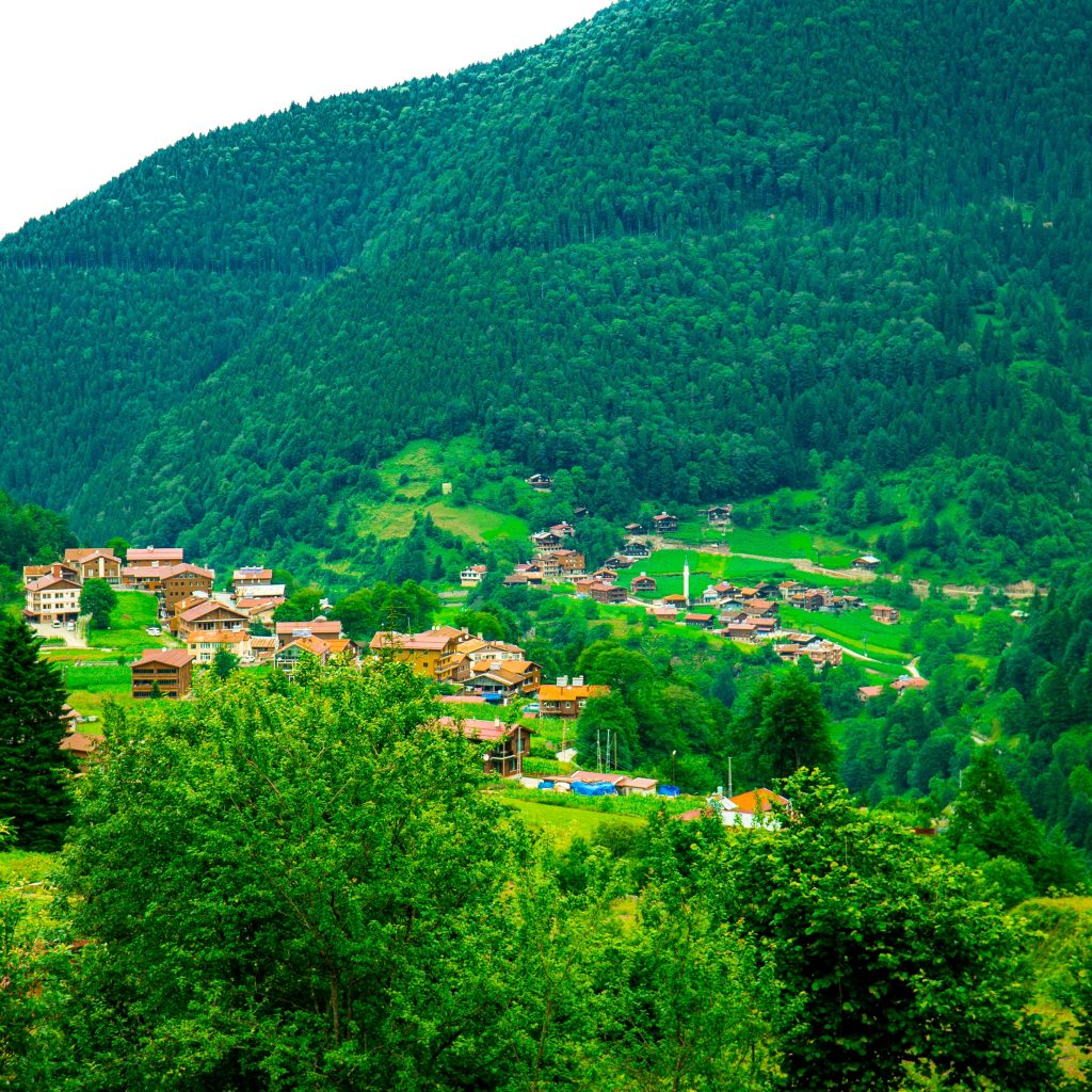youssef-mohamed-FOD1-lAix_Y-unsplash