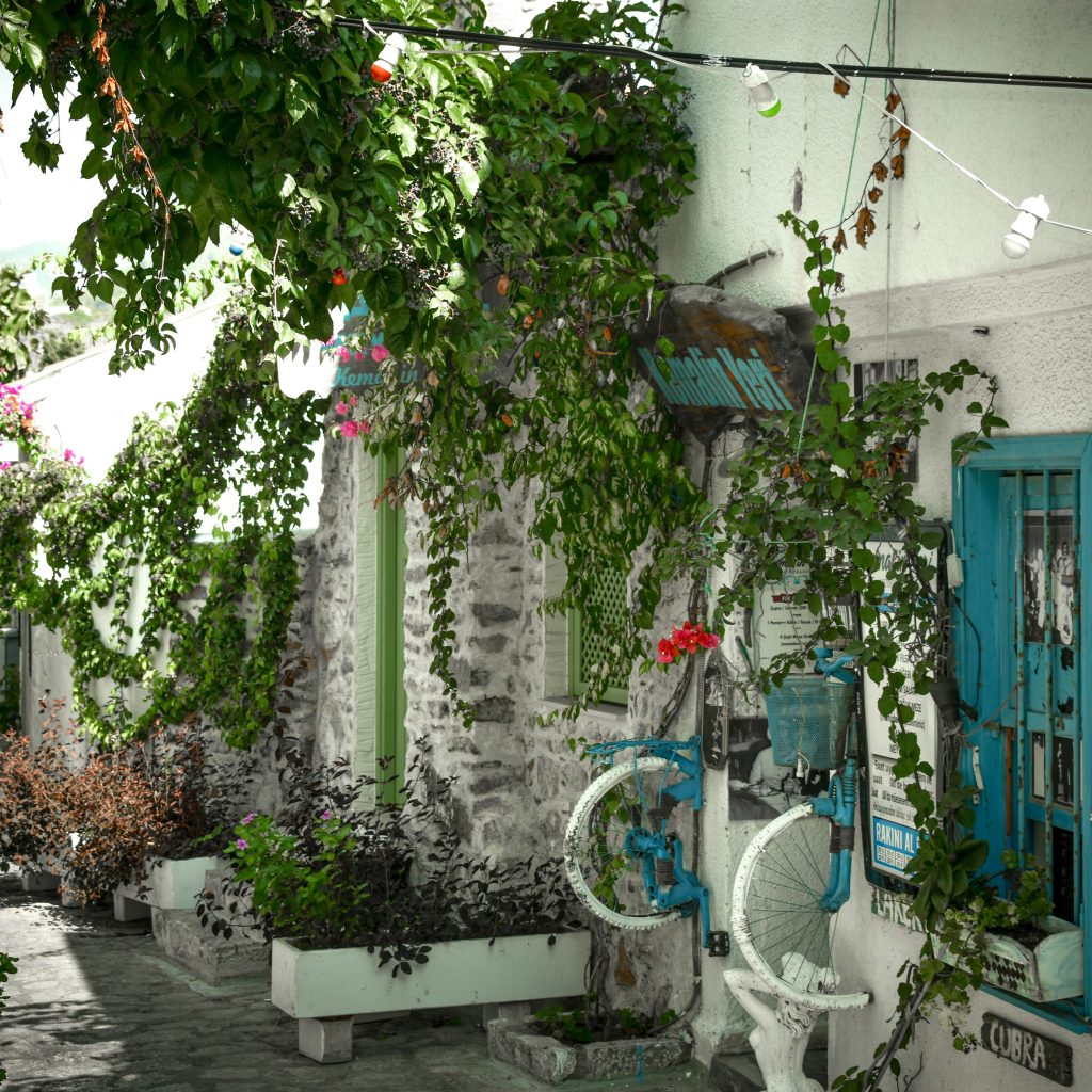 yulia-arnaut-d-Pi7Cqo0iA-unsplash